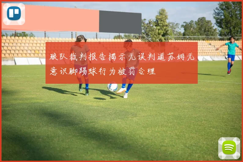 狼队裁判报告揭示无误判道苏姆无意识脚踢球行为被罚合理